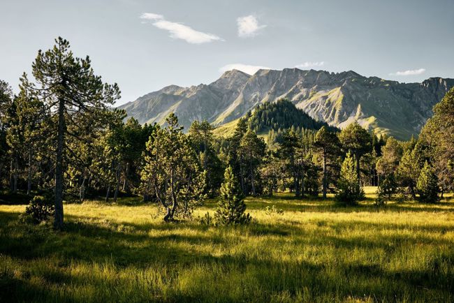 Wanderparadies Sörenberg